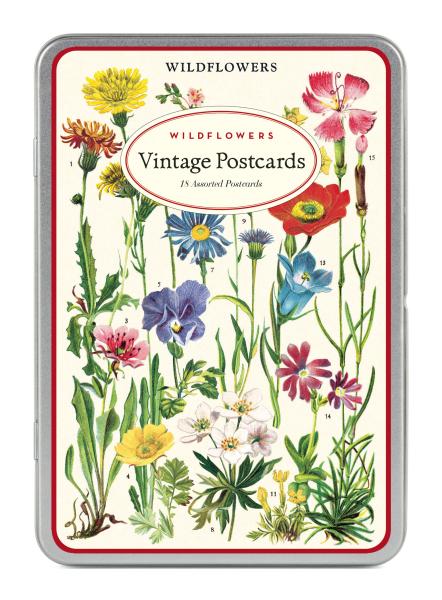 Wildblumen Vintage Postkartenset von Cavallini